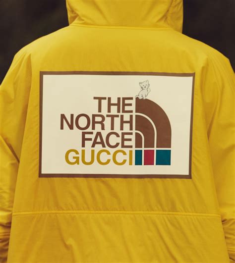 he north face x gucci|Gucci x The North Face: Going Outside Has Never Looked Better .